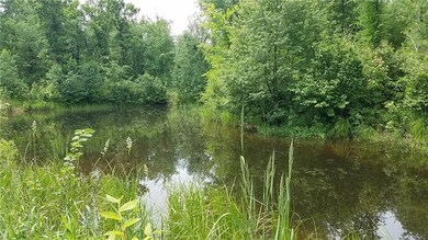 0 Wisconsin 95, Alma Center, WI 54611 - photo 4