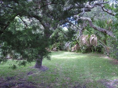 Back Yard 2