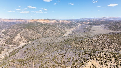 DJI_0369