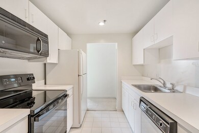 Bay Square unit 509, Cambridge, MA 02139 - photo 5
