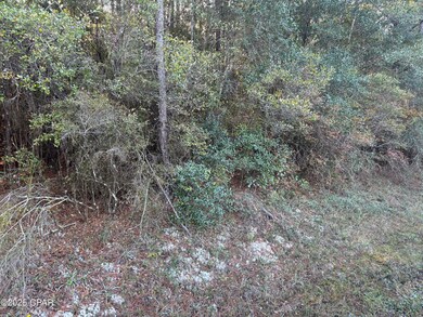 0000 County Road 160, Bonifay, FL 32425 - photo 4