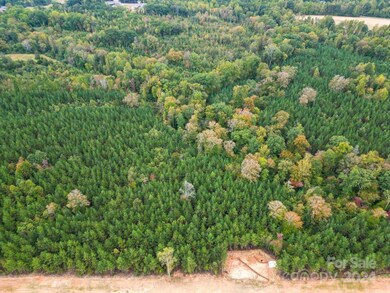 7C Hidden Forest Dr unit 7C, Denver, NC 28037 - photo 6