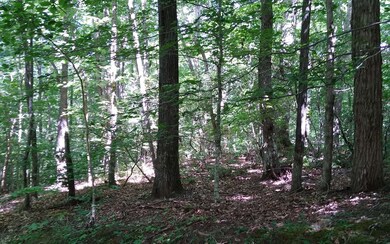 Additional View