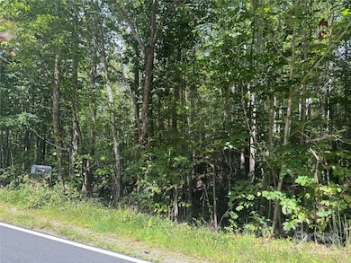 0 Playmore Beach Rd unit CAR4301688, Lenoir, NC 28645 - photo 3