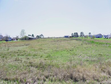 387 Parish Line Rd, Lake Charles, LA 70607 - photo 4