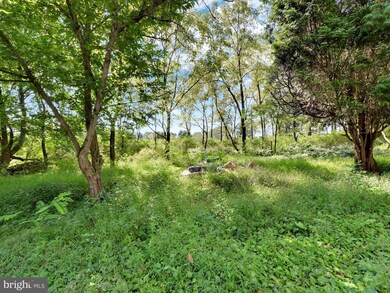 100 N Market St, New Ringgold, PA 17960 - photo 5