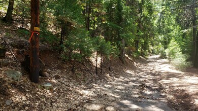 00 Upper River Ave, Dunsmuir, CA 96025 - photo 4