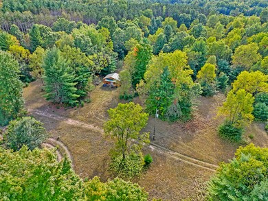 1464 N Raymond Rd, Luther, MI 49656 - photo 7