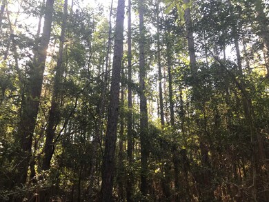 010 R C Thomas Rd, Hattiesburg, MS 39401 - photo 4