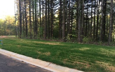 LOT15 the Ridge Harrison, Ellijay, GA 30540 - photo 4