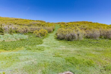 004_9029_quail_ridge_lane019_451