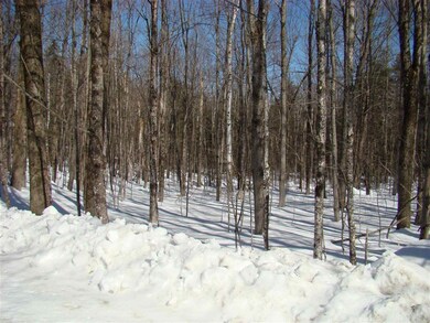 0 Shippee Rd, Readsboro, VT 05350 - photo 5