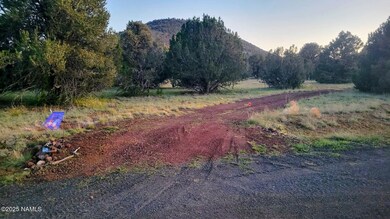 7432 Daisy Dr, Red Lake, AZ 86046 - photo 3