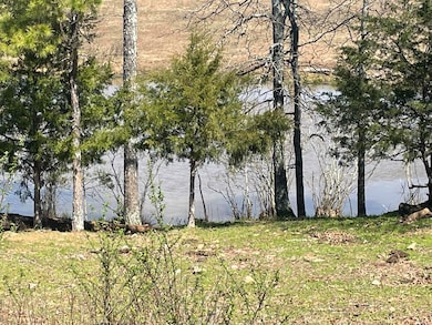 935 lot 2 Goff Rd, Quitman, AR 72131 - photo 5