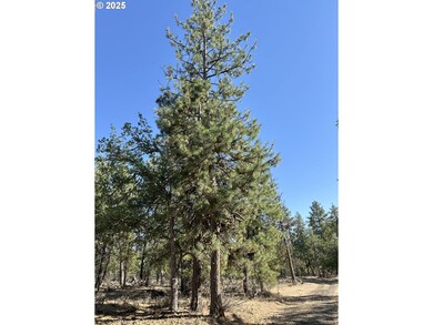 0 Hope Grove unit 430872245, Goldendale, WA 98620 - photo 4