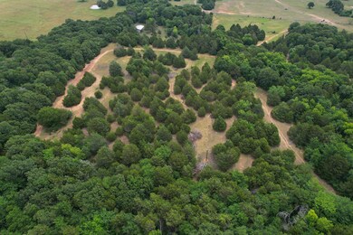 1309 County Road 109, Whitesboro, TX 76273 - photo 4