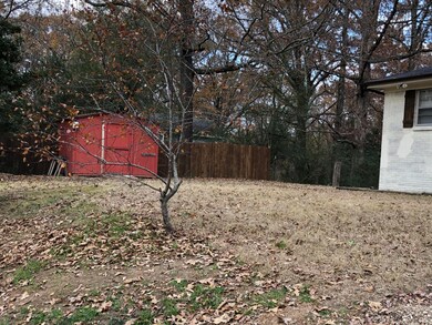 North side & shed