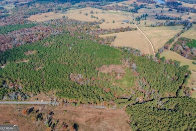 #46 Owens Dairy Rd, Lyerly, GA 30730 - photo 2