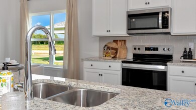 3590 Adrea Ave SW, Madison, AL 35756 - photo 6