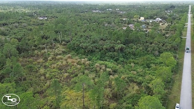 0 30th Ave SE unit 11613710, Naples, FL 34117 - photo 4