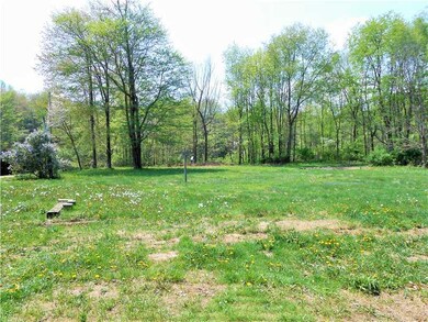 Yard/Garden.