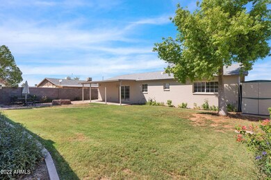 Large back yard