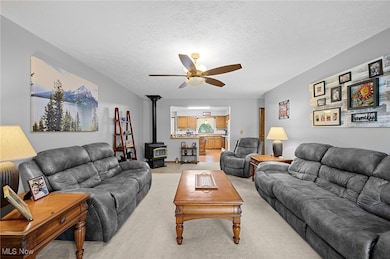 40725 Biggs Rd, Lagrange, OH 44050 - photo 3