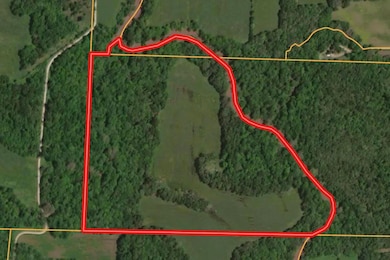 000 E 1320 Rd, Benton Township, MO 64744 - photo 3