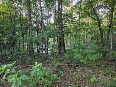 000 Lakeshore Way, Cordele, GA 31015 - photo 7