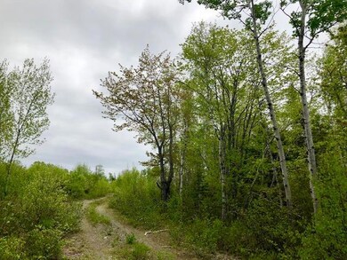 0 Route 189 unit 1441175, Whiting, ME 04652 - photo 7