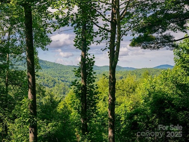 935 Whites Lake Blvd, Saluda, NC 28773 - photo 5