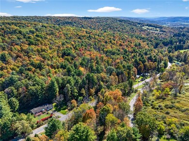 0 Honeypot Rd, Candor, NY 13743 - photo 7