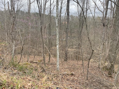 701 Tower Rd, Hurricane, WV 25526 - photo 5