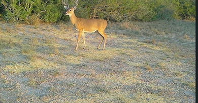 0 County Road 284 Rd unit ACT3597914, Benavides, TX 78342 - photo 5