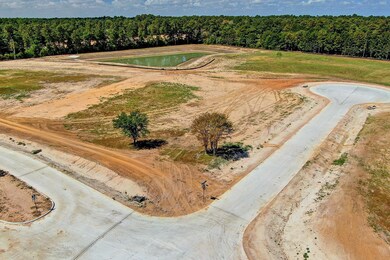 2212 Stallion Lakes Ave, Hockley, TX 77447 - photo 5