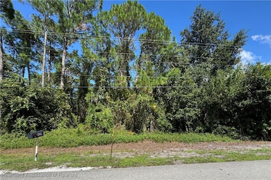 427 Washington Blvd, Lake Placid, FL 33852 - photo 3