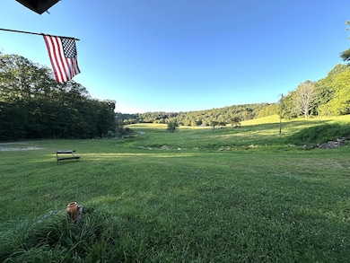 380 Rehm's Mtn Rd, Renick, WV 24966 - photo 3