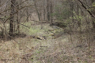 1500 Baxter Ridge Rd, Lawrenceburg, KY 40342 - photo 6