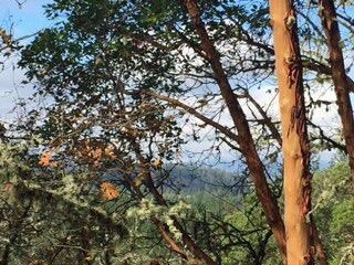 0 S Vannoy Creek Rd, Grants Pass, OR 97526 - photo 5