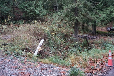 4703 Ames Lake Carnation Rd NE, Redmond, WA 98053 - photo 3