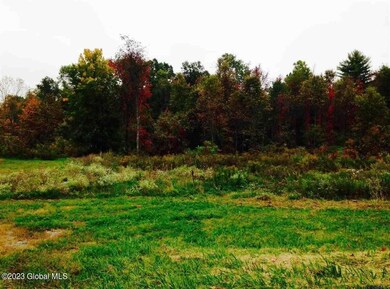 297 Wilton Gansevoort Rd, Gansevoort, NY 12831 - photo 3