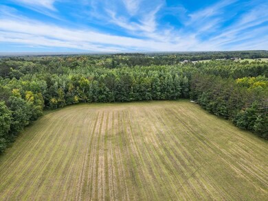 Aerial view of a forest