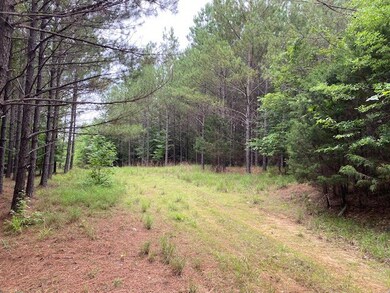 TBA County Road 435, Oxford, MS 38655 - photo 3