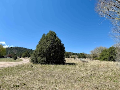5 Acres Tract 47 Old Red River Rd, Questa, NM 87556 - photo 5