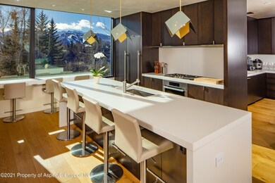 979 Red Mountain Rd, Aspen, CO 81611 - photo 3