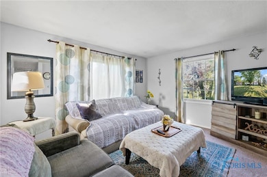 22521 State Route 163, Genoa, OH 43430 - photo 5