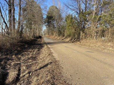 0 Ozan C unit 24032575, Ozan, AR 71855 - photo 5