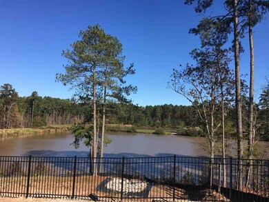 View of Community Lake