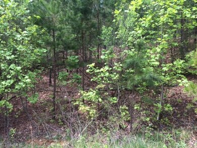 0 Northmont Lake Dr unit 64 885266, Asheboro, NC 27205 - photo 2