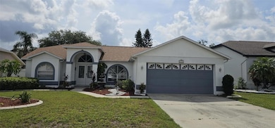 4500 Onorio St, New Port Richey, FL 34653 - photo 7